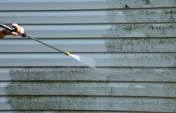 Professional Mold Removal in Franklin, TX